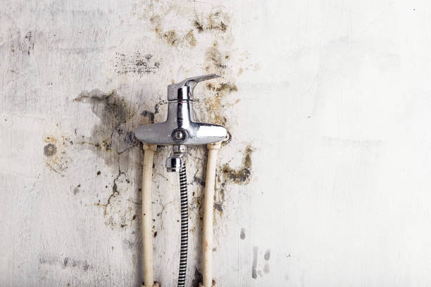 Water Damage Restoration in Emsworth, PA